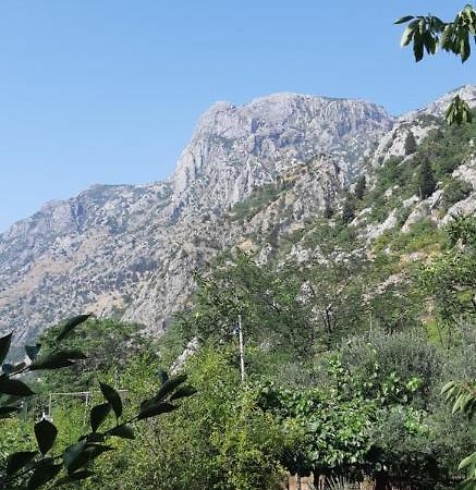 Apartment Sali Kotor Extérieur photo