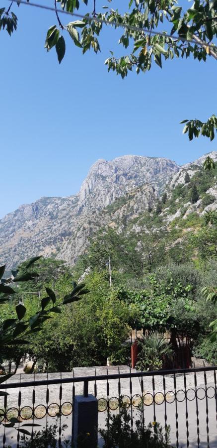Apartment Sali Kotor Extérieur photo